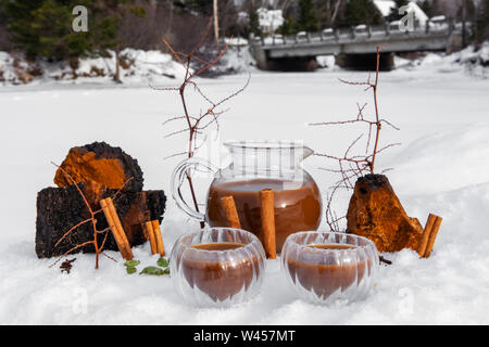 Un réchauffement de brew thé chai chaga est vu dans l'avant-plan, faites avec Chaga champignons trouvés au Canada et en Sibérie, une boisson traditionnelle dont jouissent en climat froid Banque D'Images