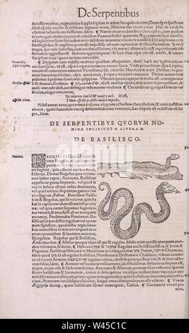 Conr. Gesneri Tigurini medicinae et philosophiae professoris in Schola Tigurina, Historiae animalium liber II Banque D'Images