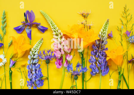 Composition de fleurs d'été lumineux sur le fond jaune, copy space Banque D'Images
