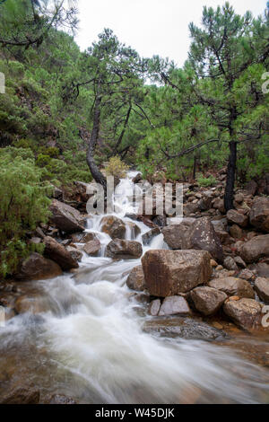 Parc naturel de la Sierra Bermeja en Estepona, Malaga Banque D'Images