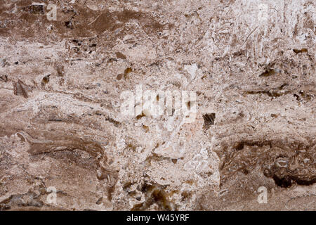 Contexte en travertin génial ton marron pour votre design attrayant. La texture dans une résolution très élevée Banque D'Images