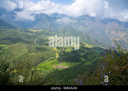 Huamachuco à Cajamarca, dans le nord du Pérou Highlands,collines fleuries,Pérou,Amérique du Sud Banque D'Images