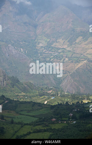 Huamachuco à Cajamarca, dans le nord du Pérou Highlands,collines fleuries,Pérou,Amérique du Sud Banque D'Images