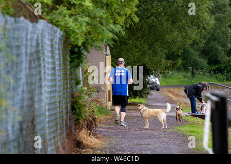 Tayside, Dundee, Ecosse, Royaume-Uni. 20 juillet, 2019. Météo Royaume-uni:nuageux et sombre pour commencer la matinée avec des éclosions de pluie de plus en plus lumineux, avec éclaircies par l'après-midi, des températures atteignant 21°C. Une bonne journée pour les joggeurs et les promeneurs de chiens à Clatto Country Park à Glasgow, Royaume-Uni. Credit : Dundee Photographics / Alamy Live News Banque D'Images