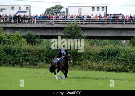 Kelso, Ecosse, Royaume-Uni. 20 juillet 2019. Semaine civique Kelso - at Yetholm Ride out, Kelso. Laddie Kelso galopante Mark Henderson sur un champ à la périphérie de Kelso, en tant que spectateurs montre de la route voisine pont sur la rivière Tweed, Kelso. d'avance 200 montée forte sur la cavalcade de ride at Yetholm Samedi 20 juillet 2019. (Crédit : Rob Gray ) Crédit : Rob Gray/Alamy Live News Banque D'Images