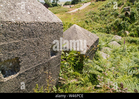 Les défenses anti-char en béton à Studland Bay ont été la préparation de la D- débarquements du jour ont été effectuées, Dorset, England, UK Banque D'Images