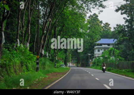 Vagamon, Kerala, Inde- 07 juillet 2019 Peerumedu:Erattupetta road à vagamon hill station Banque D'Images