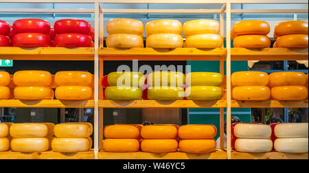 Rotterdam Pays-Bas, le 27 juin 2019. Fromages néerlandais, edam, gouda, ensemble les roues rondes sur planche en bois, fromagerie à Rotterdam markthal.texture, retour Banque D'Images