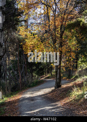 Wanaka, Nouvelle-Zélande - soleil pommelé sur les arbres d'automne avec des feuilles jaunes et un sentier qui serpente dans l'aire Banque D'Images