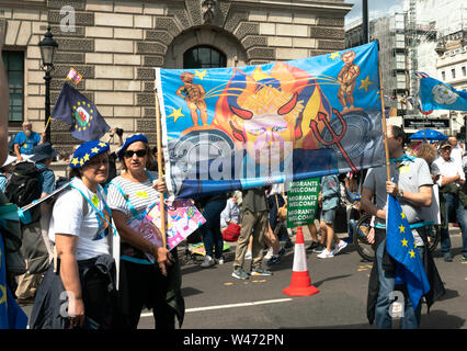 Londres, Royaume-Uni. 20 juillet 2019 : Des manifestants anti Brexit se rassembler à la place du Parlement à la suite d'une marche à travers Londres. Il a été estimé que 1 millions de personnes venus de toutes les régions du pays Crédit : Bridget Catterall/Alamy Live News Crédit : Bridget Catterall/Alamy Live News Banque D'Images