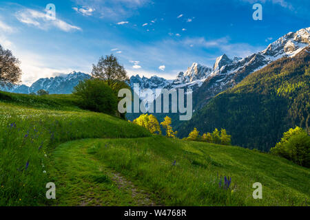 Groupe Sciore, Pizzo Badile et Cengalo de verts pâturages au printemps, Bondasca, vallée de la vallée Val Bregaglia, Grisons, Suisse Banque D'Images