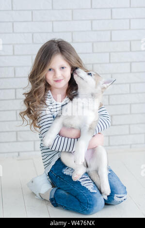 Cute little girl hugging chiot Husky sur fond blanc. Banque D'Images