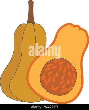 Couper la citrouille en deux, illustration, vecteur sur fond blanc. Illustration de Vecteur