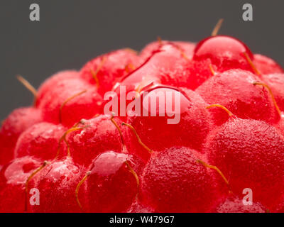 Framboises fraîches naturelles vitamines macro berry pour l'homme sur un fond sombre. L'isoler. Banque D'Images