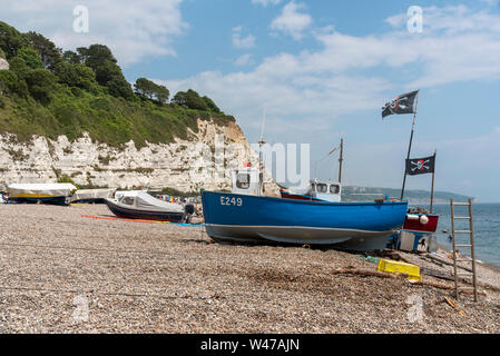 La bière près de Seaton, Devon, Angleterre, Royaume-Uni. Plage de la bière sur la côte jurassique dans l'est du Devon. Bateaux de pêche et les falaises blanches calk. Banque D'Images