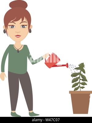 Woman watering plant, illustration, vecteur sur fond blanc. Illustration de Vecteur