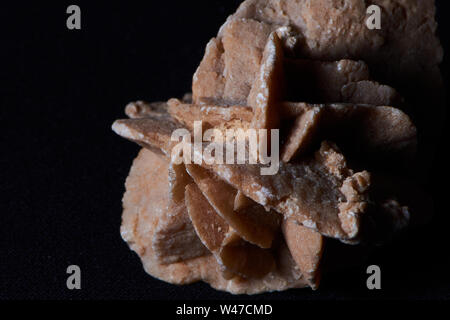 Couleur macro photo d'une desert rose sur fond noir Banque D'Images