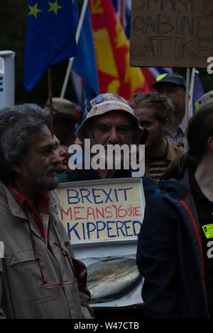 Londres, Royaume-Uni. 20 juillet 2019. Participant à la manifestation de la Marche pour le changement, arrêtez le Brexit. Credit: Joe Kuis /Alamy News Banque D'Images