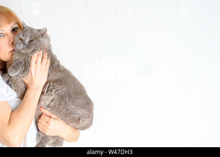 Cheveux rouge blonde mature senior woman relaxing at home holding et mignon huging chat ronronnant. Belle femme d'âge moyen avec de gros chat British Shorthair Banque D'Images