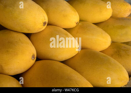 Pile de jaune douce Thai mango Mamuang arraché les noms affichés sur les fruits stall Kaew boutique à Bangkok, Thaïlande. Les mangues background Banque D'Images