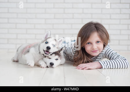 Cute little girl hugging chiot Husky sur fond blanc. Banque D'Images