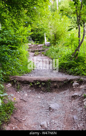 Chemin de randonnée en forêt menant au sommet du célèbre Harder Kulm, Interlaken, Suisse. Sentier de montagne en forêt. Terrain en pente. La nature, en amont. Les arbres verts. Banque D'Images