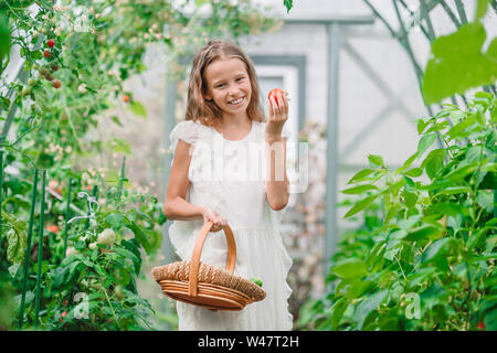 Cute little girl recueille les concombres et tomates de serre en Banque D'Images