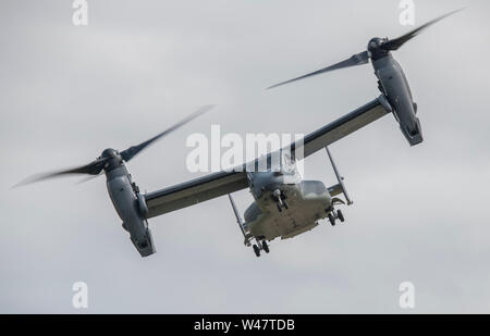 RAF Fairford, Glos, UK. 20 juillet 2019. Jour 2 de la Royal International Air Tattoo (RIAT) avec des avions militaires de partout dans le monde de l'assemblage à l'élite de l'aéronautique avec une démonstration de vol par beau temps. Démonstration de Vol Libre : par Bell Boeing annonce-22B Balbuzard, US Air Force à partir de la RAF Mildenhall. Credit : Malcolm Park/Alamy Live News. Banque D'Images