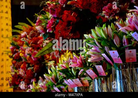 Rives de belles fleurs en pot à l'intérieur. Les lis en premier plan - rouge et rose et vert sous lumière artificielle. Banque D'Images