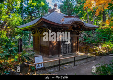 Koishikawa-Korakuen est un dix-septième siècle dans le jardin japonais jardin Koishikawa, Bunkyo, Tokyo, région du Kanto, l'île de Honshu, Japon Banque D'Images