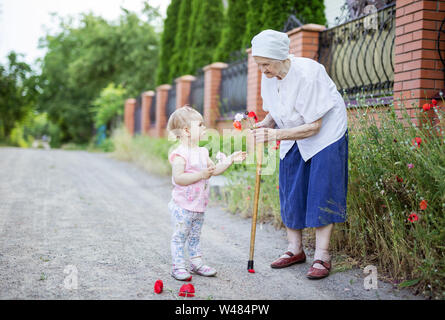 Grand-mère et bébé fille la cueillette des fleurs à l'extérieur en campagne Banque D'Images