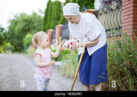 Grand-mère et bébé fille fleurs de pavot picking in countryside Banque D'Images