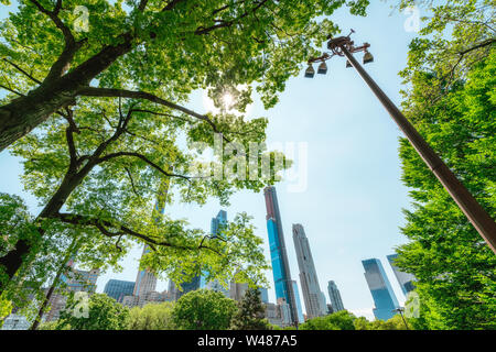 Manhattan Skyline entouré par la Nature. Gratte-ciel, vue de Central Park. Journée ensoleillée à New York City Banque D'Images