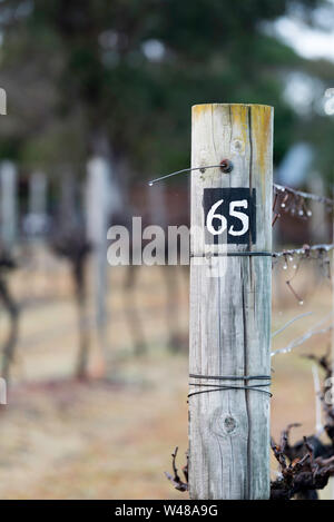 Un grand poster de bois soutenant les chariots à treillis vin Winery dans la Nouvelle Galles du Sud, Australie Hunter Valley tôt le matin Banque D'Images