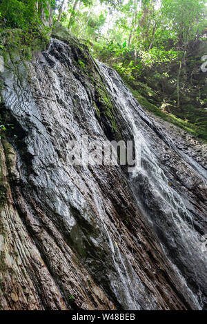 Avis de Quintero's Ravine ou Quebrada Quintero de l'emblématique montagne de Caracas, El Avila ou Waraira Repano.L'un des plus connus de source de l'eau Banque D'Images