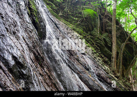 Avis de Quintero's Ravine ou Quebrada Quintero de l'emblématique montagne de Caracas, El Avila ou Waraira Repano.L'un des plus connus de source de l'eau Banque D'Images