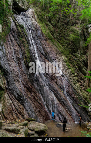 Avis de Quintero's Ravine ou Quebrada Quintero de l'emblématique montagne de Caracas, El Avila ou Waraira Repano.L'un des plus connus de source de l'eau Banque D'Images