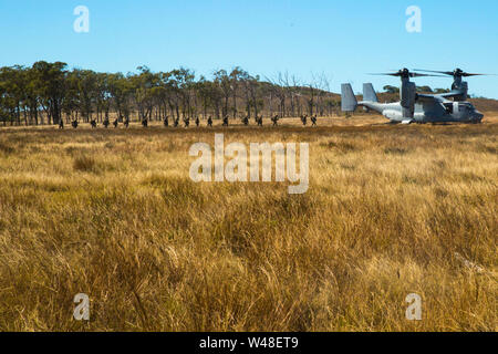 Marines avec Echo, l'entreprise Équipe de débarquement du bataillon, 2e Bataillon, 1er Marines, 31e Marine Expeditionary Unit, à bord d'un MV-22B avion à rotors basculants Osprey, avec l'escadron 265 à rotors basculants moyen maritime (renforcée), zone d'entraînement à Stanage Bay, Queensland, Australie, le 18 juillet 2019. La 31e MEU participe actuellement à Talisman Saber 2019 au large de la côte nord de l'Australie. Un accord bilatéral, événement biennal, Talisman Sabre est conçu pour améliorer la formation de combat américains et australiens, la disponibilité opérationnelle et l'interopérabilité par réalistes, pertinents à la formation nécessaires pour maintenir la sécurité régionale, la paix un Banque D'Images