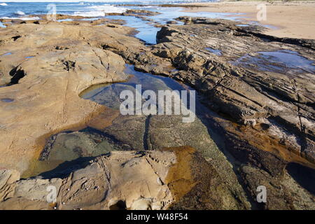 Point de Bellambi rock pools Banque D'Images