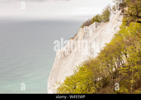 White Cliffs - Mons, le Danemark, l'Europe. Banque D'Images