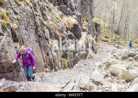 PREIKESTOLHYTTA , Norvège - 13 MAI 2017 : les touristes sur le sentier à Preikestolen le 13 mai 2017 dans Preikestolhytta. Preikestolen est un célèbre site touristique attrac Banque D'Images