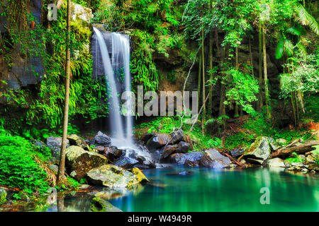 Scenic froid frais Tamborine cascade dans le parc national de Tamborine du Queensland, Australie. Forêt tropicale humide luxuriante végétation autour de nettoyer avec Evergreen Banque D'Images