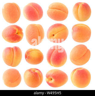 Fruits abricot isolés. Collection d'abricots isolated over white background with clipping path Banque D'Images