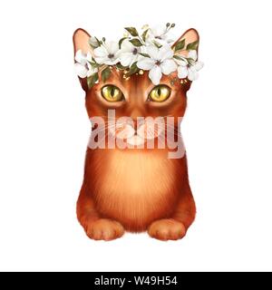 Chat de gingembre avec des fleurs blanches Banque D'Images