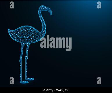 Faible, modèle Flamingo poly animale africaine résumé graphiques, d'illustration vectorielle wireframe polygonales d'oiseaux sur un fond bleu foncé Illustration de Vecteur