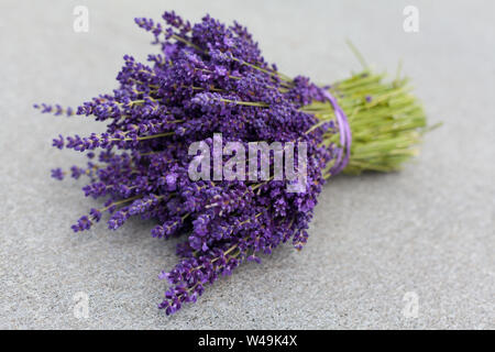 Bouquet de fleurs de lavande sur une table gris Banque D'Images