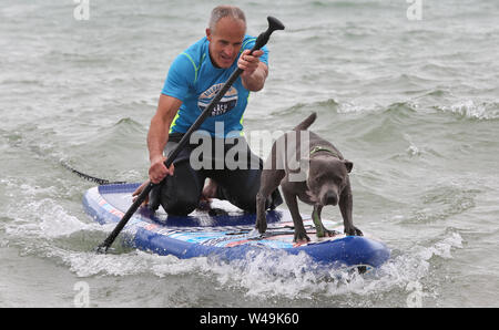 Poole, UK. 21 juillet 2019. Chats d'amour de l'eau et de leurs propriétaires en concurrence dans le championnat de surf Chien UK off Branksome Dene Chine beach à Poole, Dorset, UK. Crédit : Richard Crease/Alamy Live News Banque D'Images