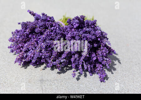 Bouquet de fleurs de lavande sur une table gris Banque D'Images