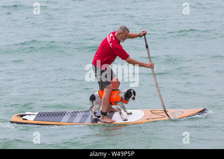 Dene Branksome Chine, Poole, Dorset, UK. 21 juillet 2019. Après le succès des dernières années UKs premier chien championnats de surf, organisée par Shaka Surf, à la Branksome Chine déné, l'événement est organisé pour la deuxième année avec encore plus de chiens qui participent et le surf et paddleboarding sur leurs conseils. La foule se regarder le plaisir sur une breezy day rendant les conditions plus difficiles. Spaniel chien surf avec propriétaire - chien en paddleboard surf. Credit : Carolyn Jenkins/Alamy Live News Banque D'Images