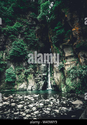 Salto do Cabrito belle chute d'eau à la chute d'un sentier de randonnée à partir de la grotte, tout en vert forêt, Sao Miguel, Ribeira Grande, Açores, Portugal Banque D'Images